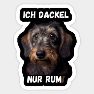 Sweet Wire-haired Dachshund - I Dachshund Just Around! 1 Sticker